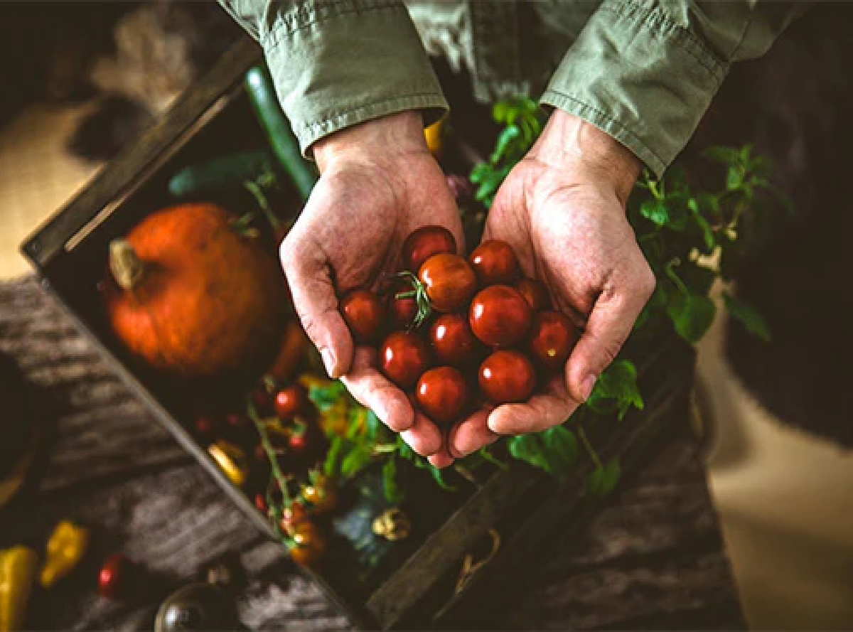 The Science Behind Pre-Workout Nutrition